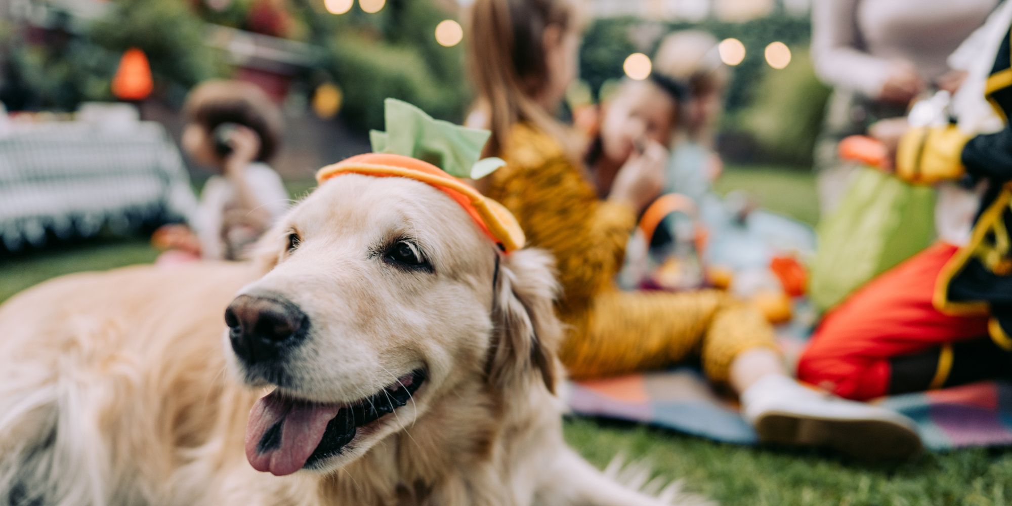 Fall Fun at Triada in Elgin, Texas